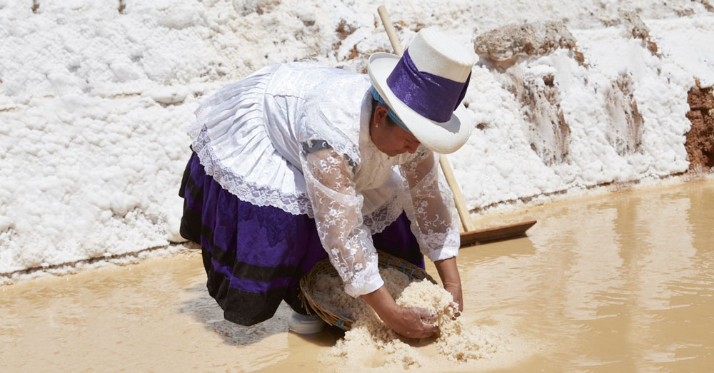 Récolte artisanale du Sel de Maras